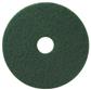 TASKI Americo Pad - Green 5Stk. - 13" / 33 cm - Grün - Leichtes Scheuerpad für hartnäckige Verschmutzungen und Grundreinigungen